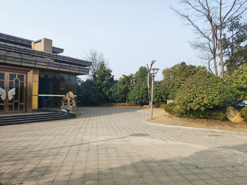 IMG_20190224_091154.jpg