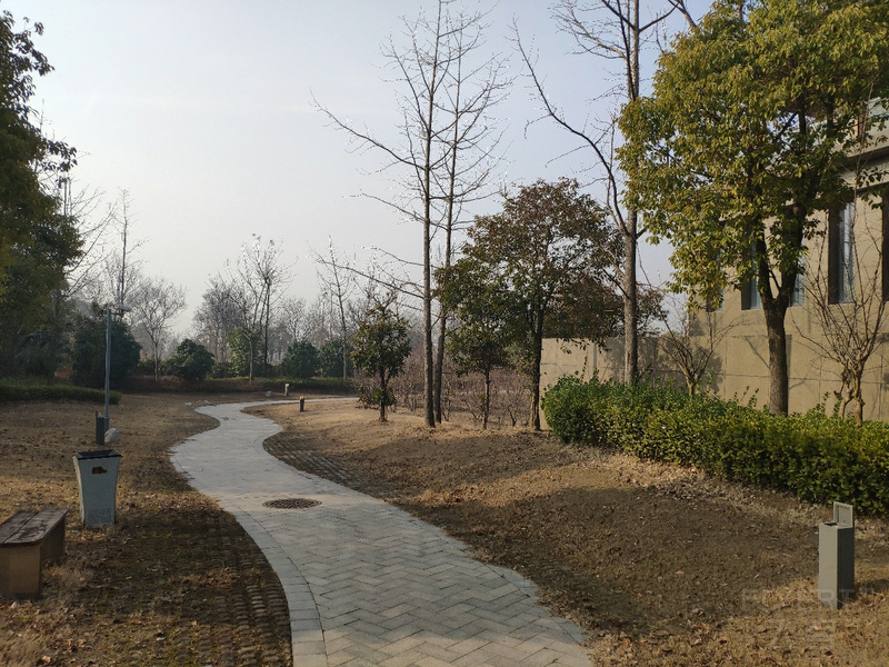 IMG_20190224_091829.jpg