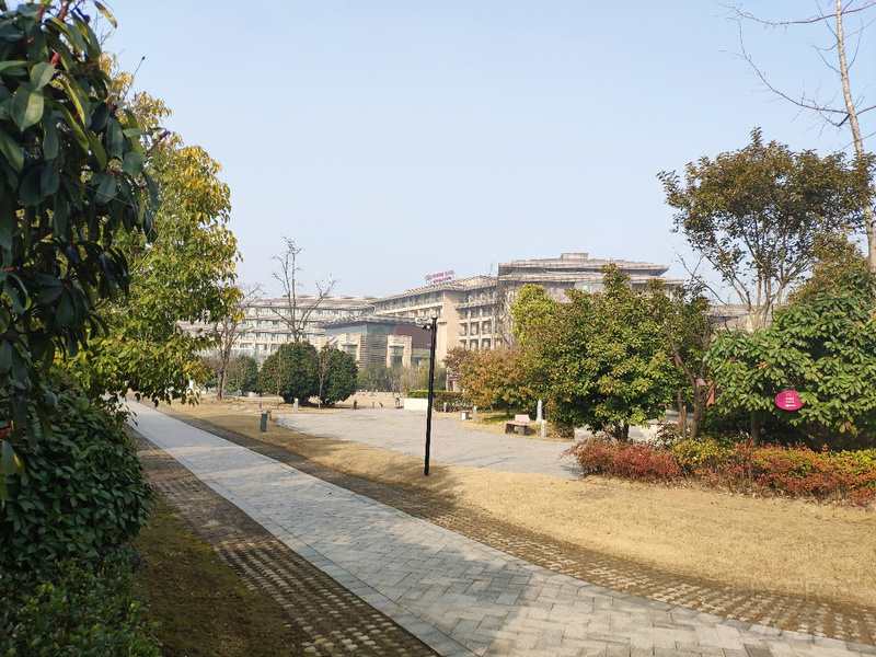 IMG_20190224_092120.jpg