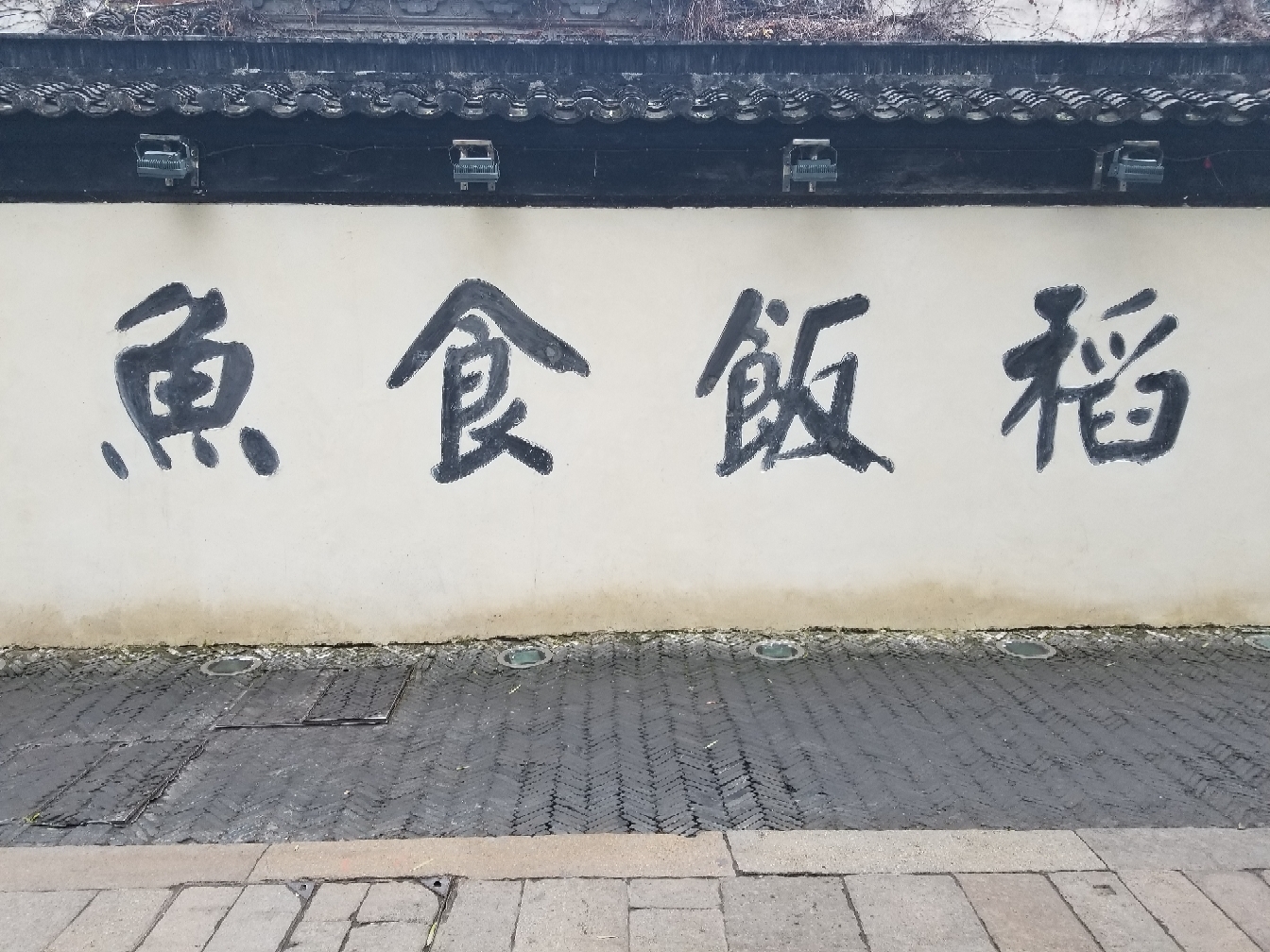 ݲȫμ֮ʢƵ