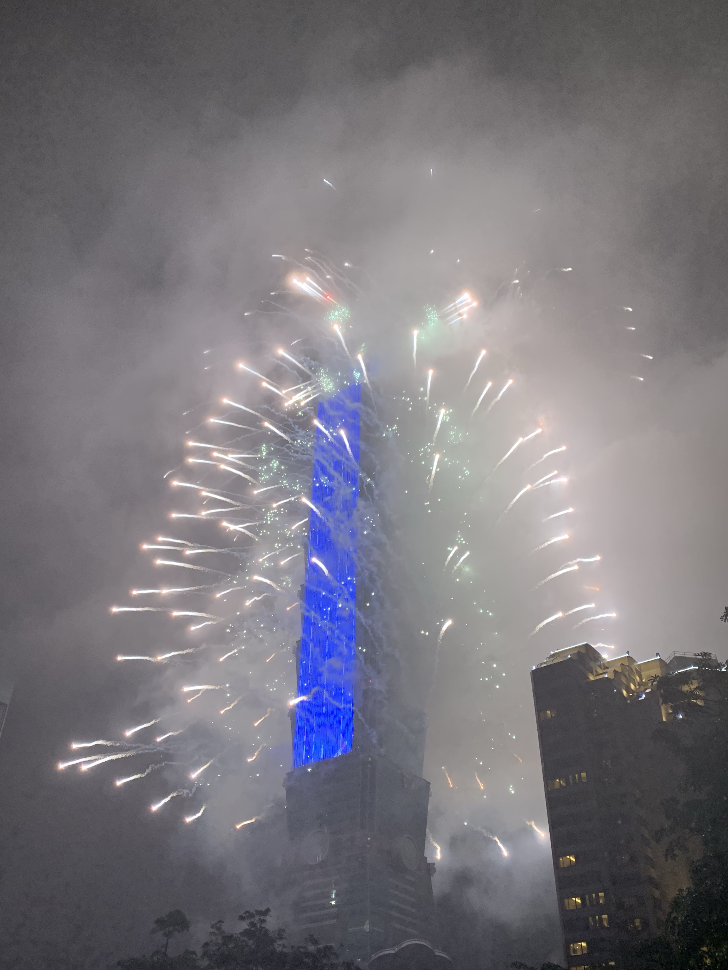 ̨W2019ҹ