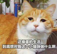 18궫45ΣŦԼϺ