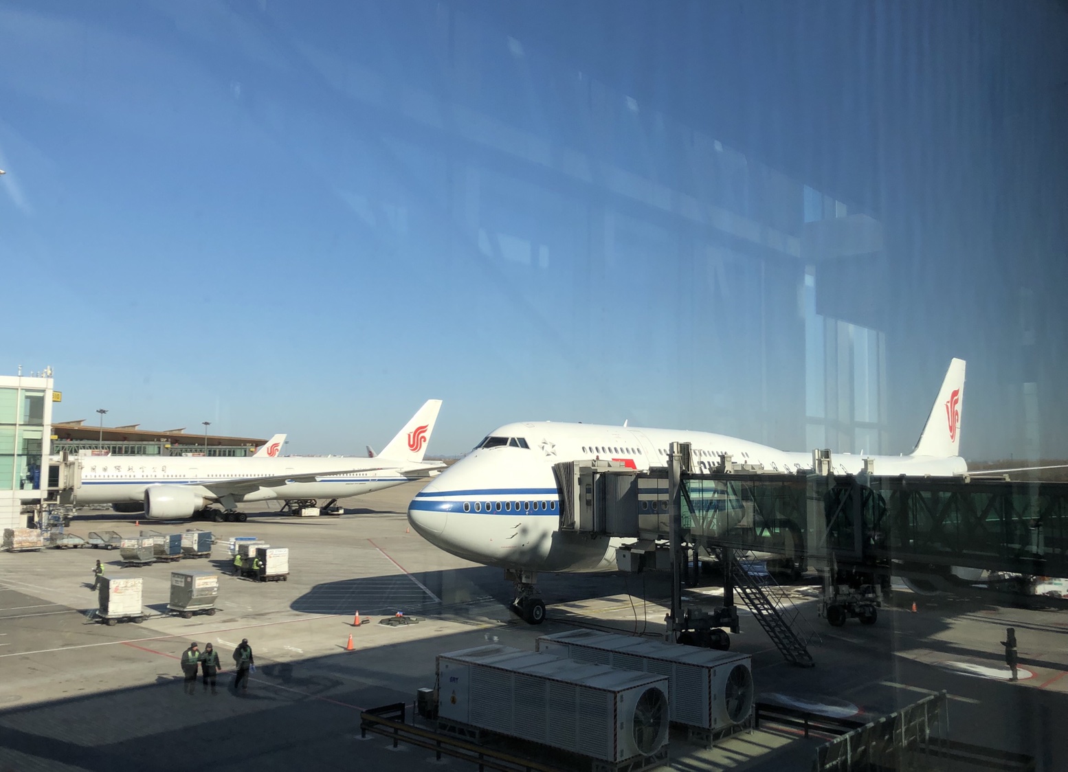 CA981ŦԼ