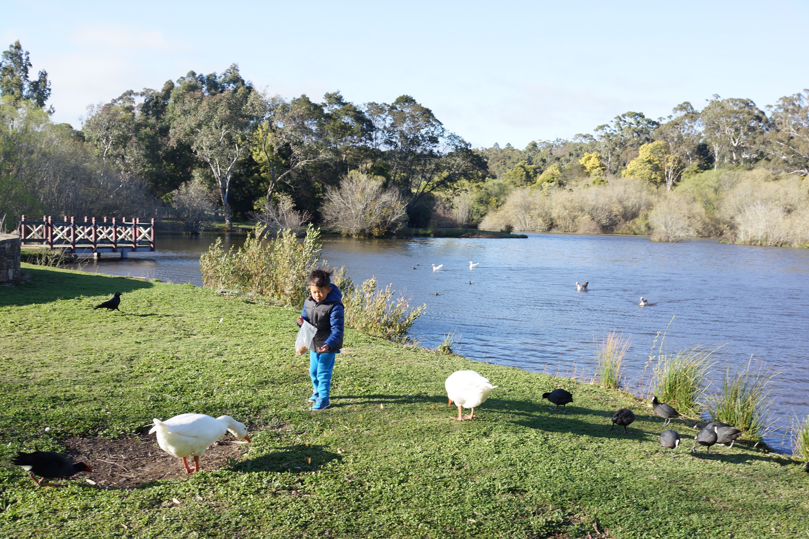 Lake house Daylesfordtop 10 of Australia