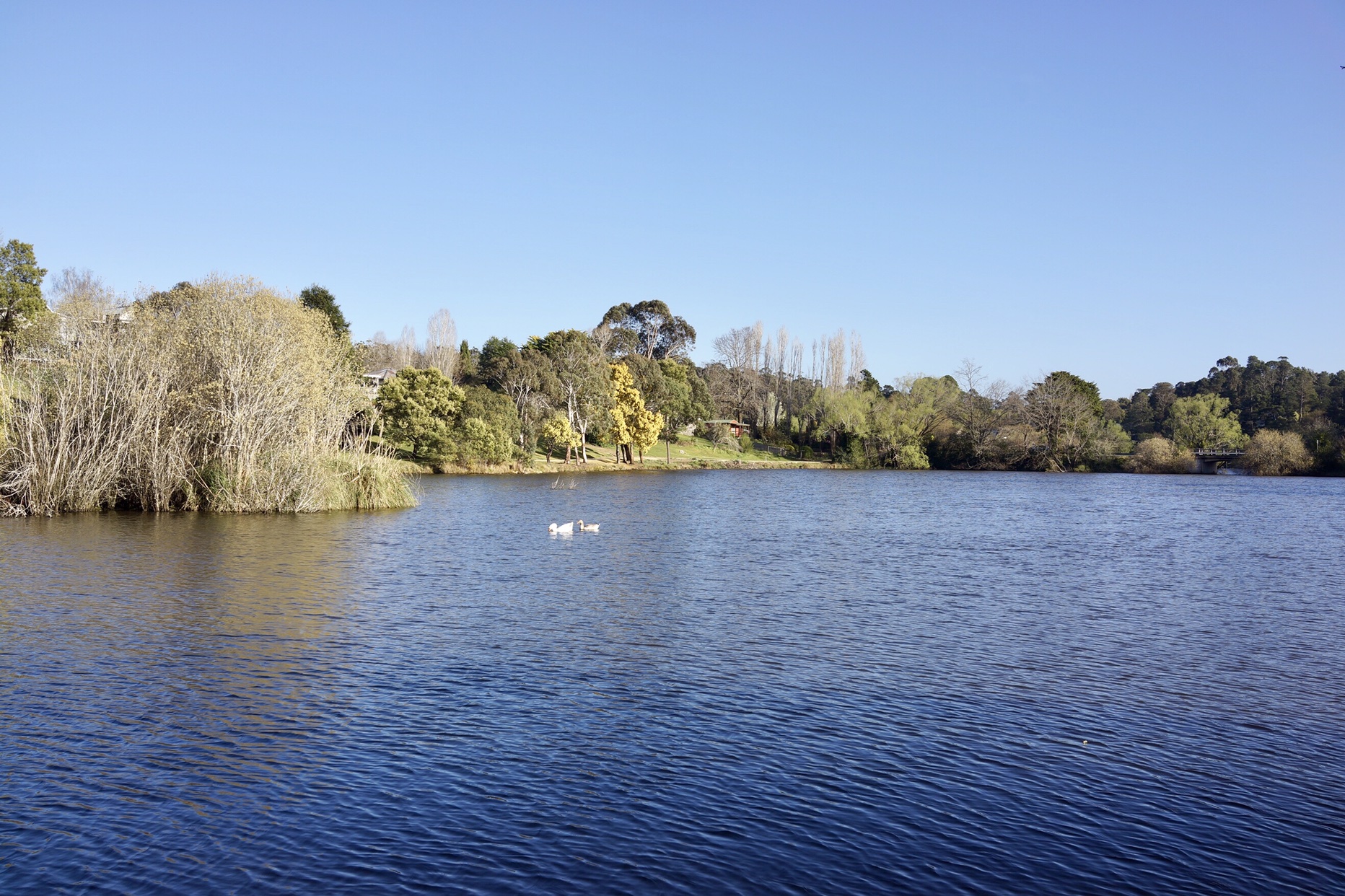 Lake house Daylesfordtop 10 of Australia