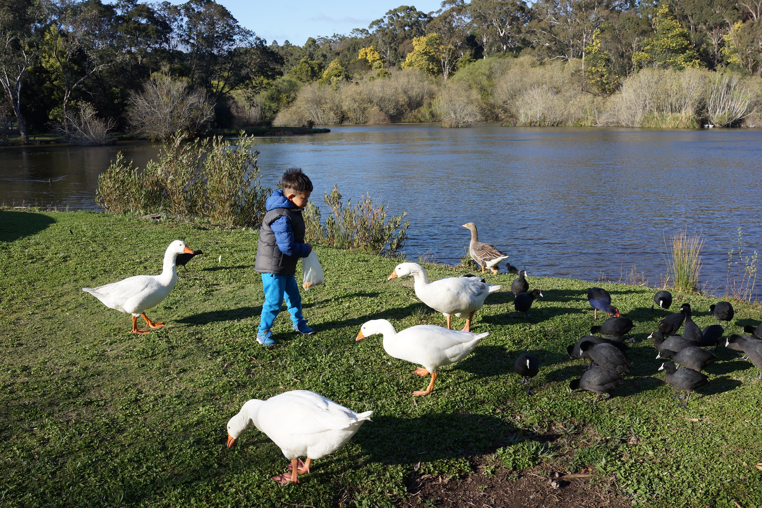 Lake house Daylesfordtop 10 of Australia