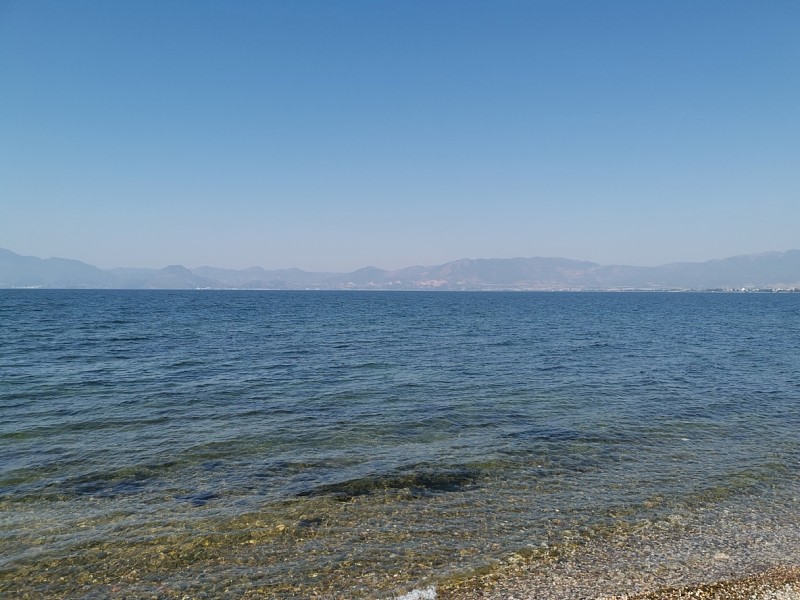 IMG_20190329_105458.jpg