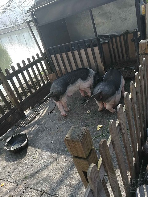 绍兴大禹观堂春游