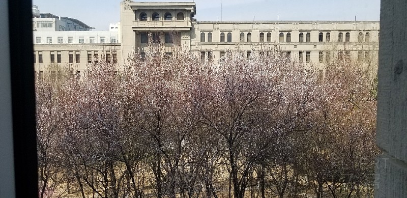 20190316_142155.jpg
