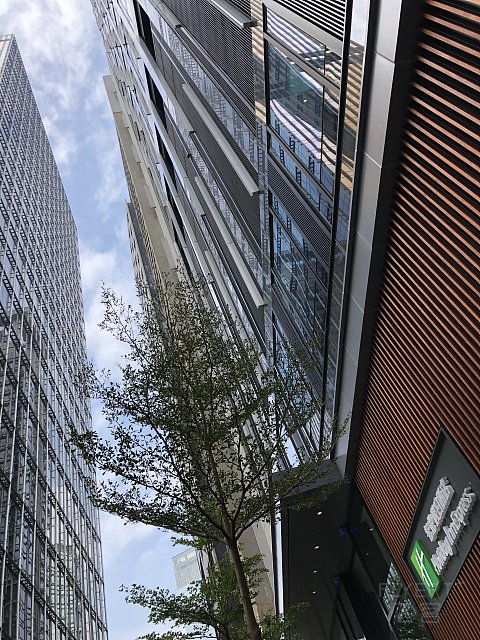 HIX 香港九龙CBD2智选假日酒店——很新很赞 （13）