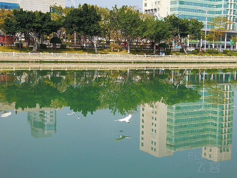 IMG_20190227_135418.jpg