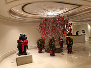 <em>۰뵺</em>õû˵