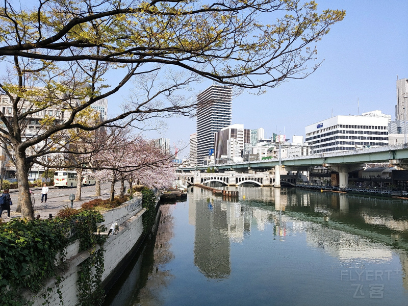 IMG_20190406_093325.jpg
