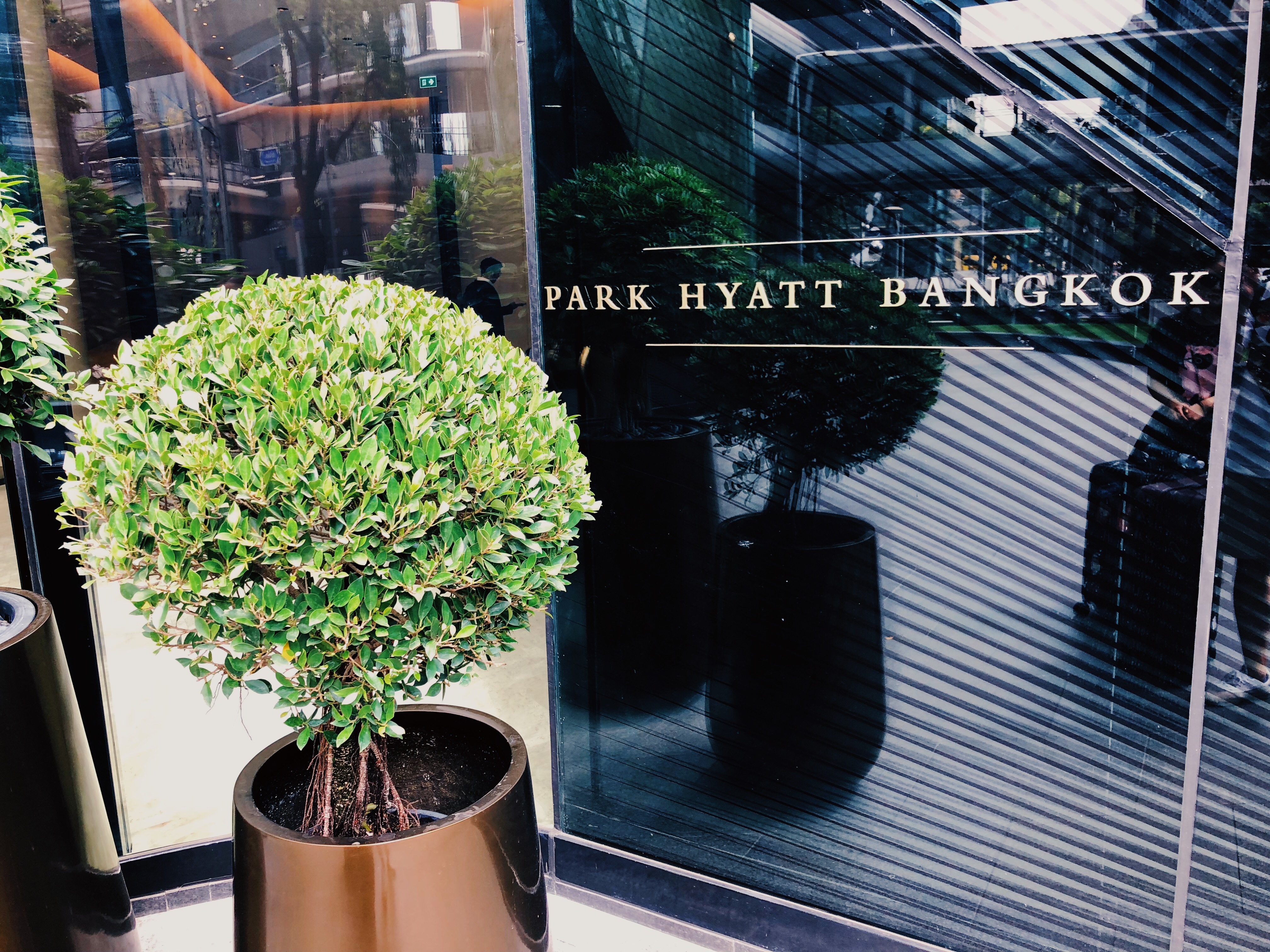 Ȱô / Park Hyatt Bangkok