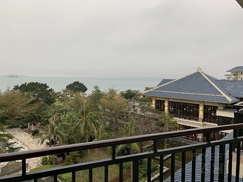 惠州金海湾喜来登度假村拔草