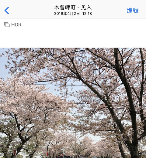 名古屋马拉松归来-名古屋万豪酒店入住体验