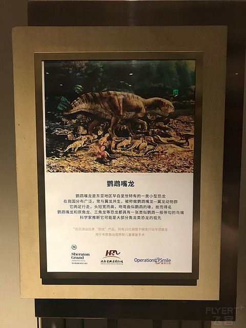 郑州美盛喜来登升级grand Sheraton