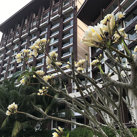 浦发积分兑换的，没有谈心，直接CI