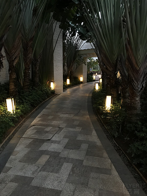 浦发积分兑换的，没有谈心，直接CI