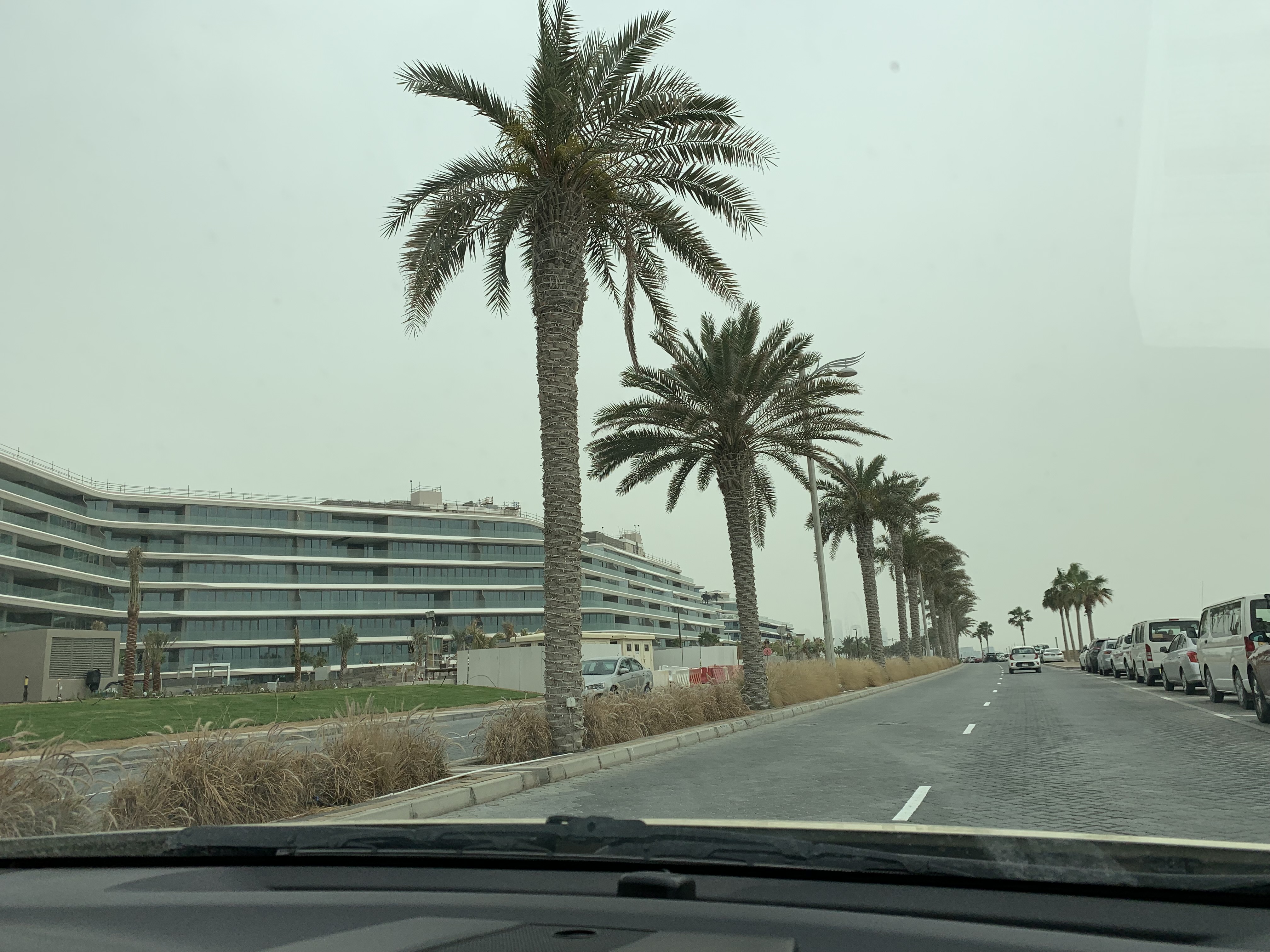 ϰWƵ-鵵
W Dubai-The Palm
