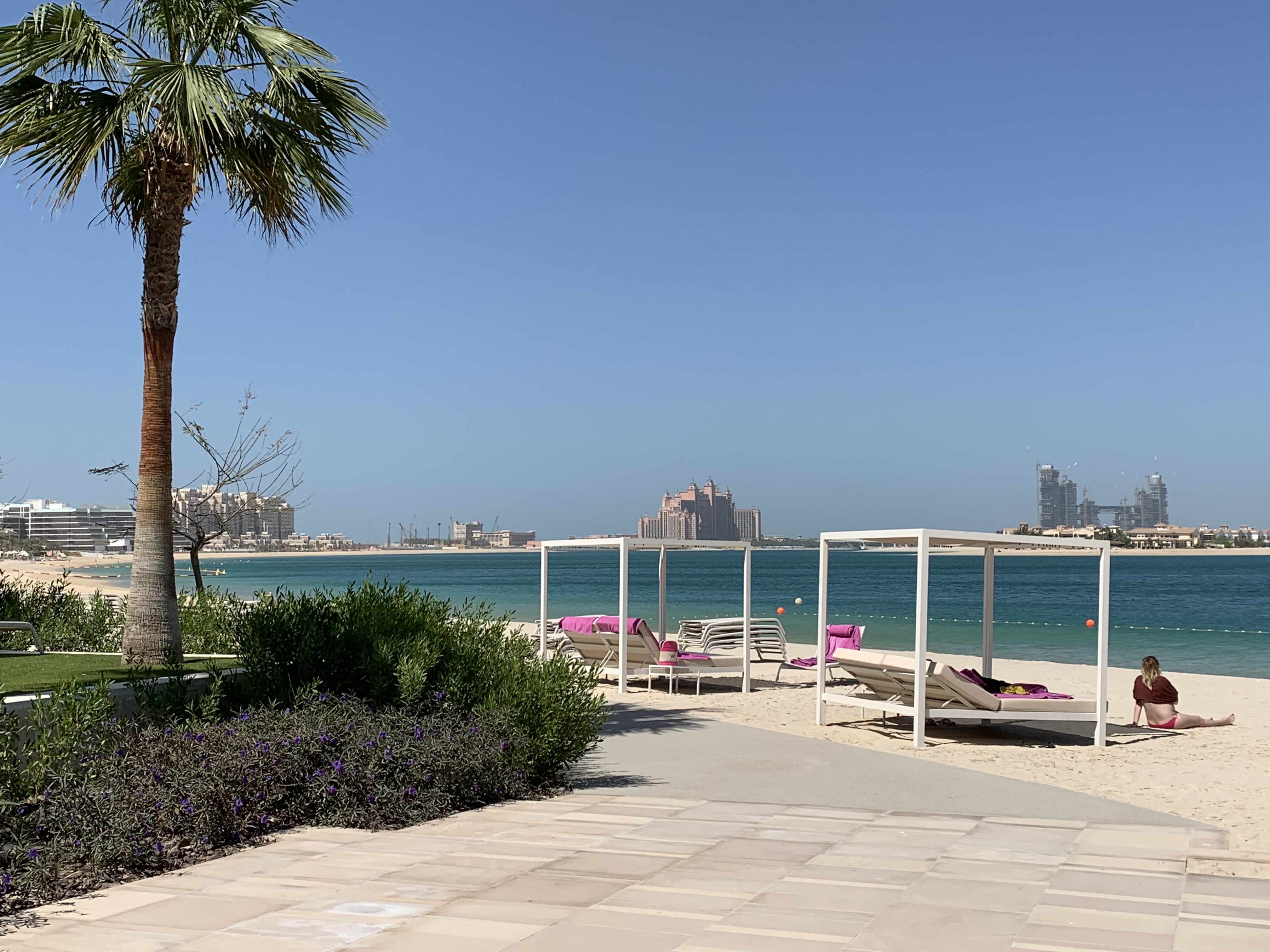 ϰWƵ-鵵
W Dubai-The Palm