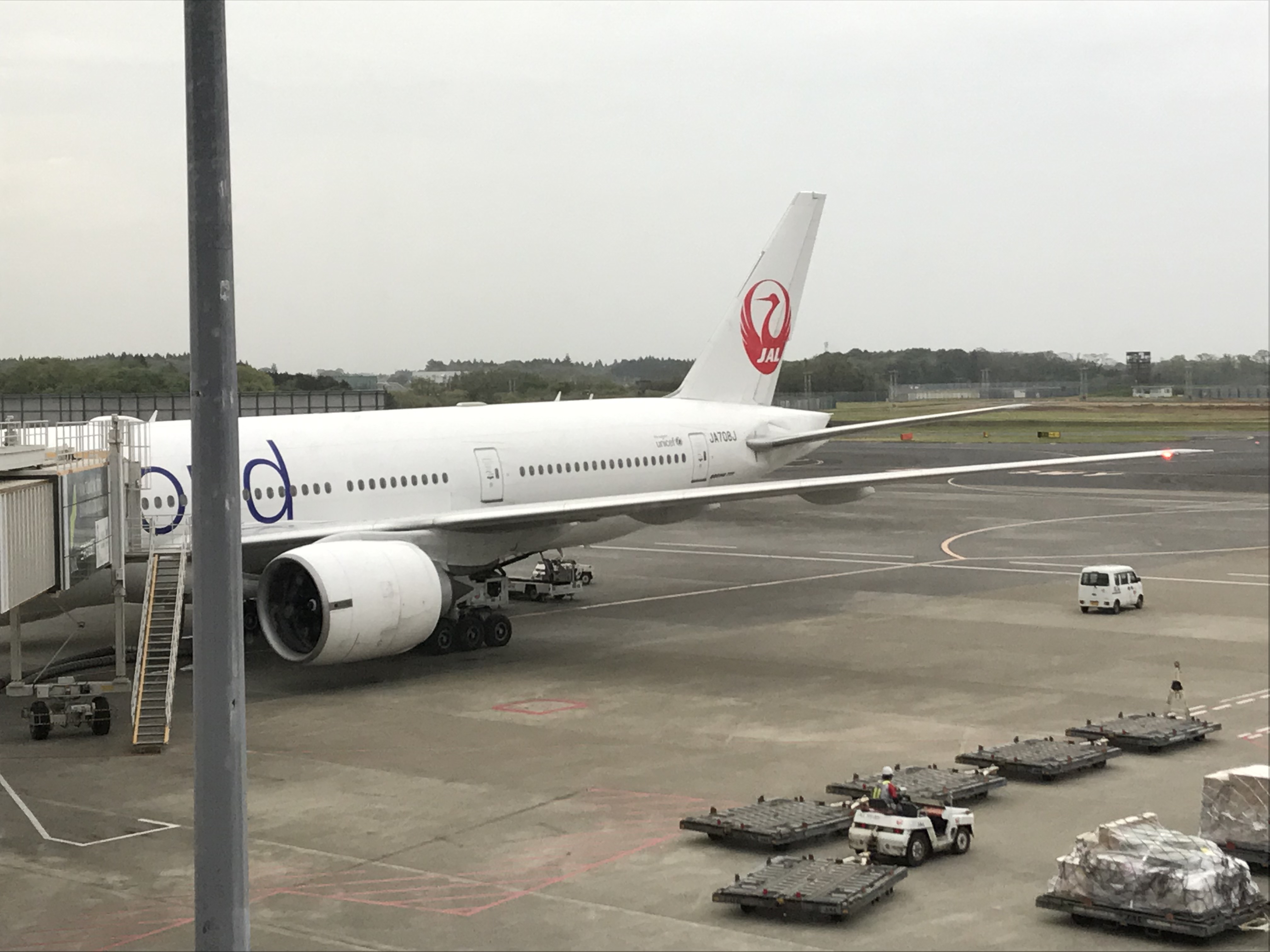 JAL | ձJL711 NRT-SIN-¼ 772ò PE