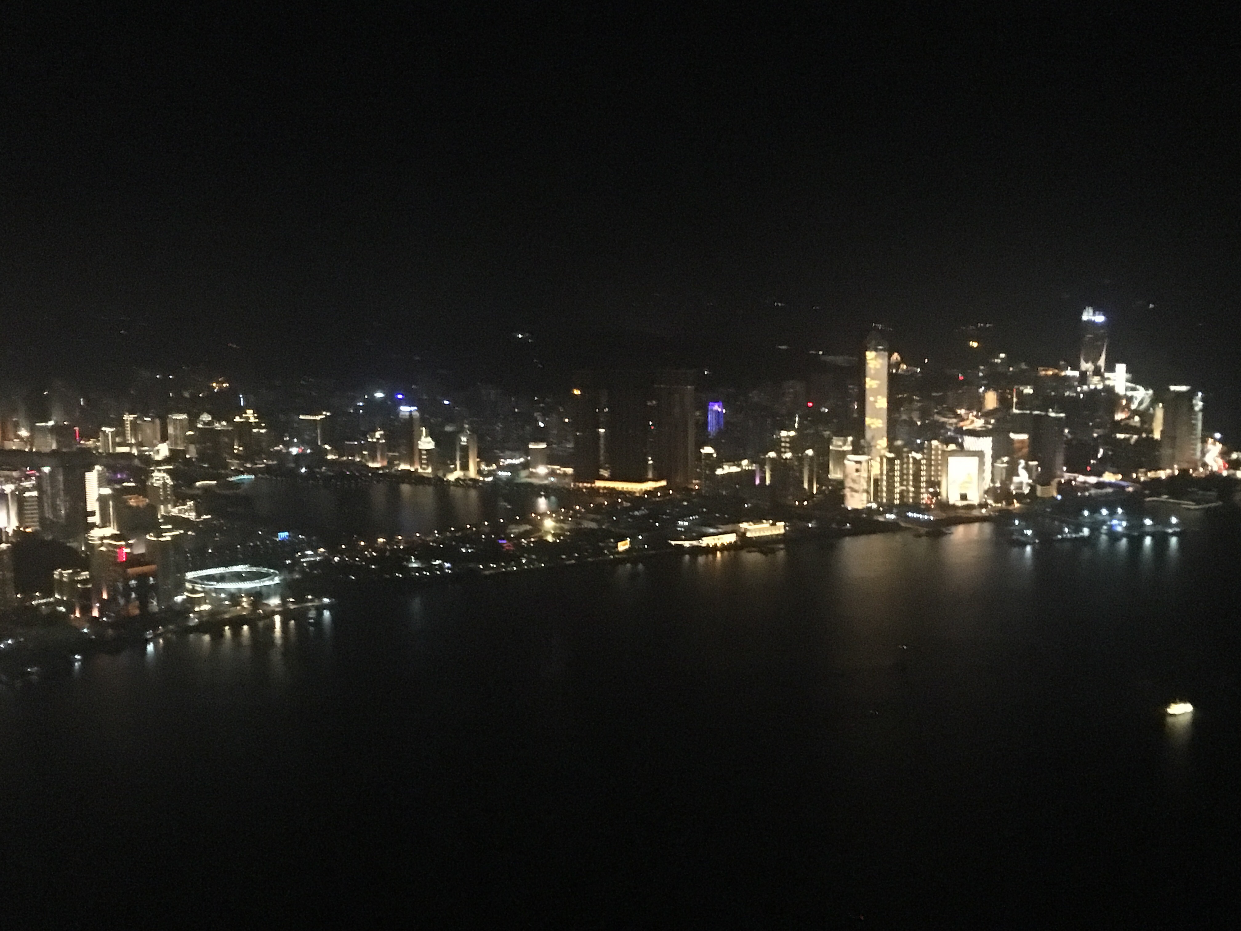 鱨