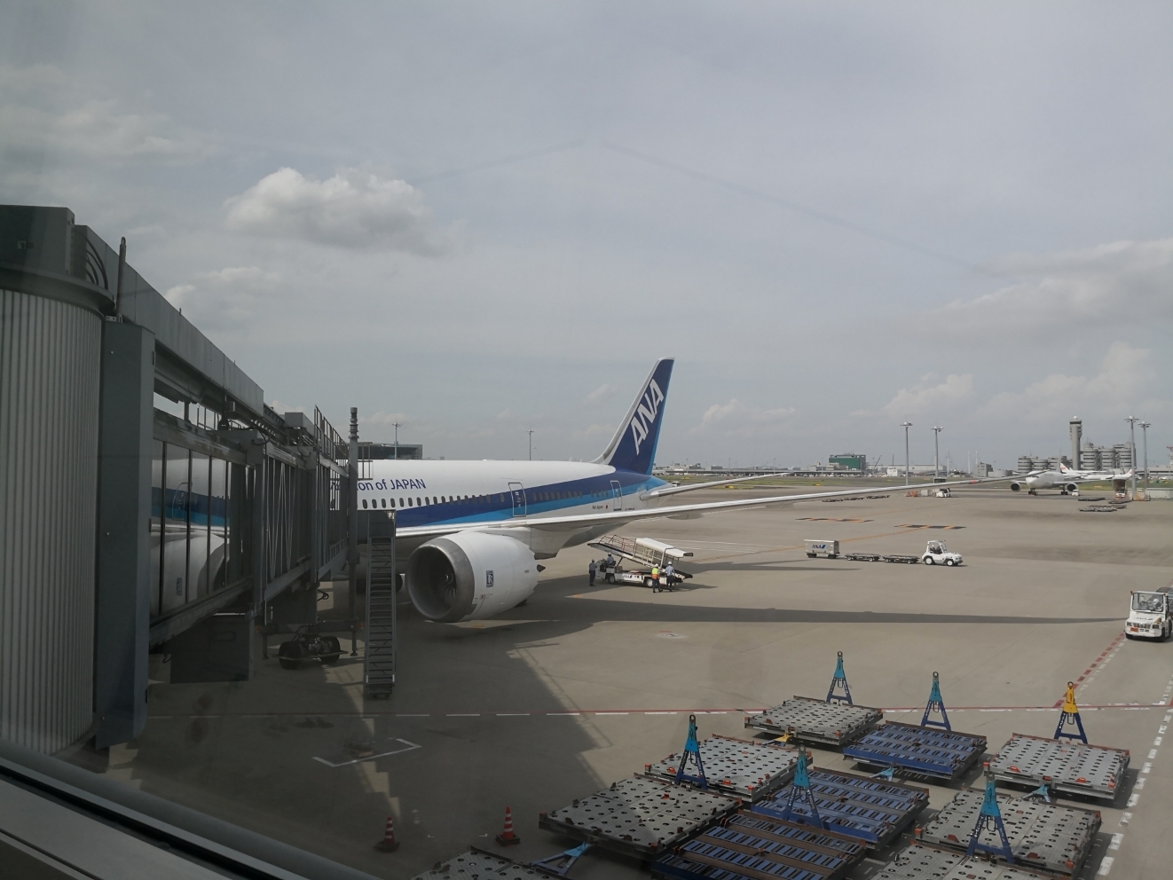 ANA; NH864 ׶GMP-HND 