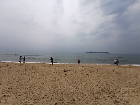 IMG_20190503_103749.jpg