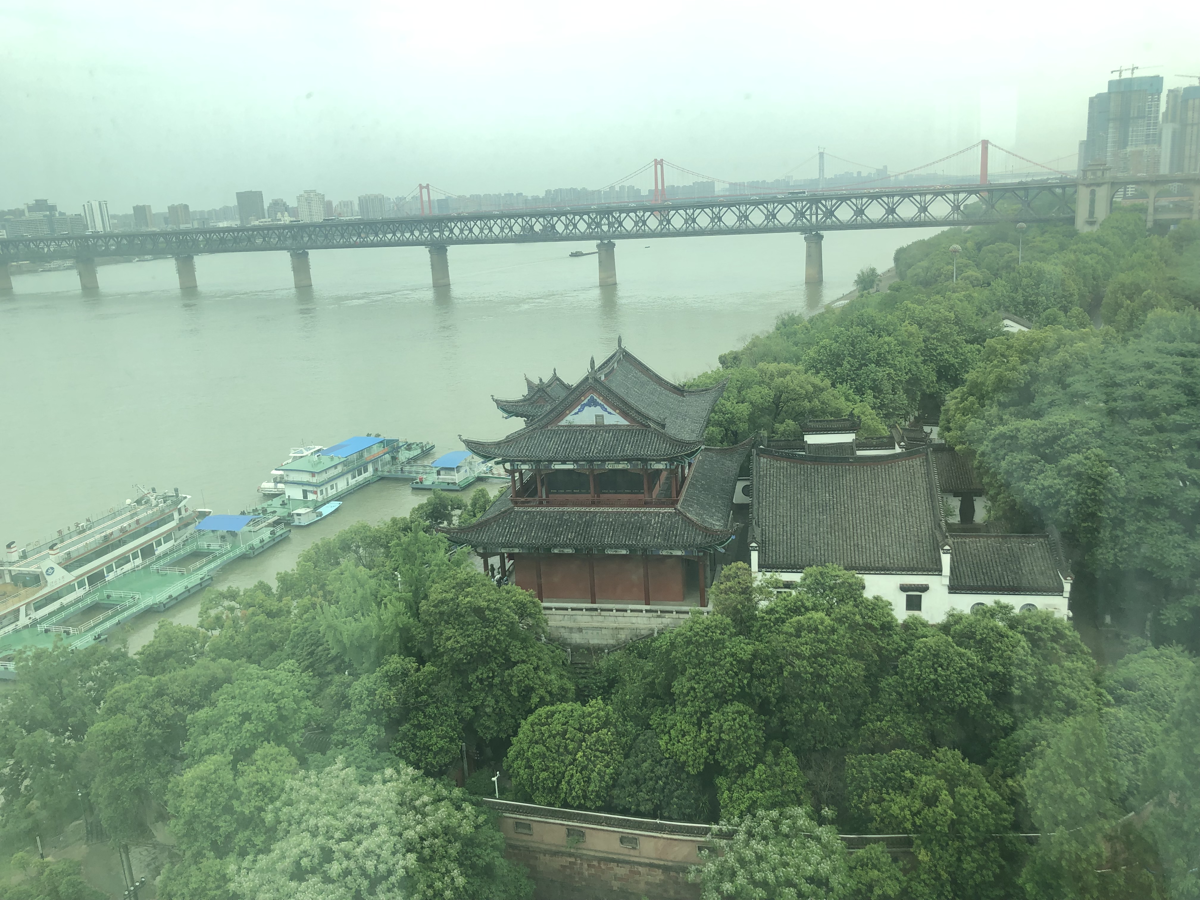 人紨վƵ