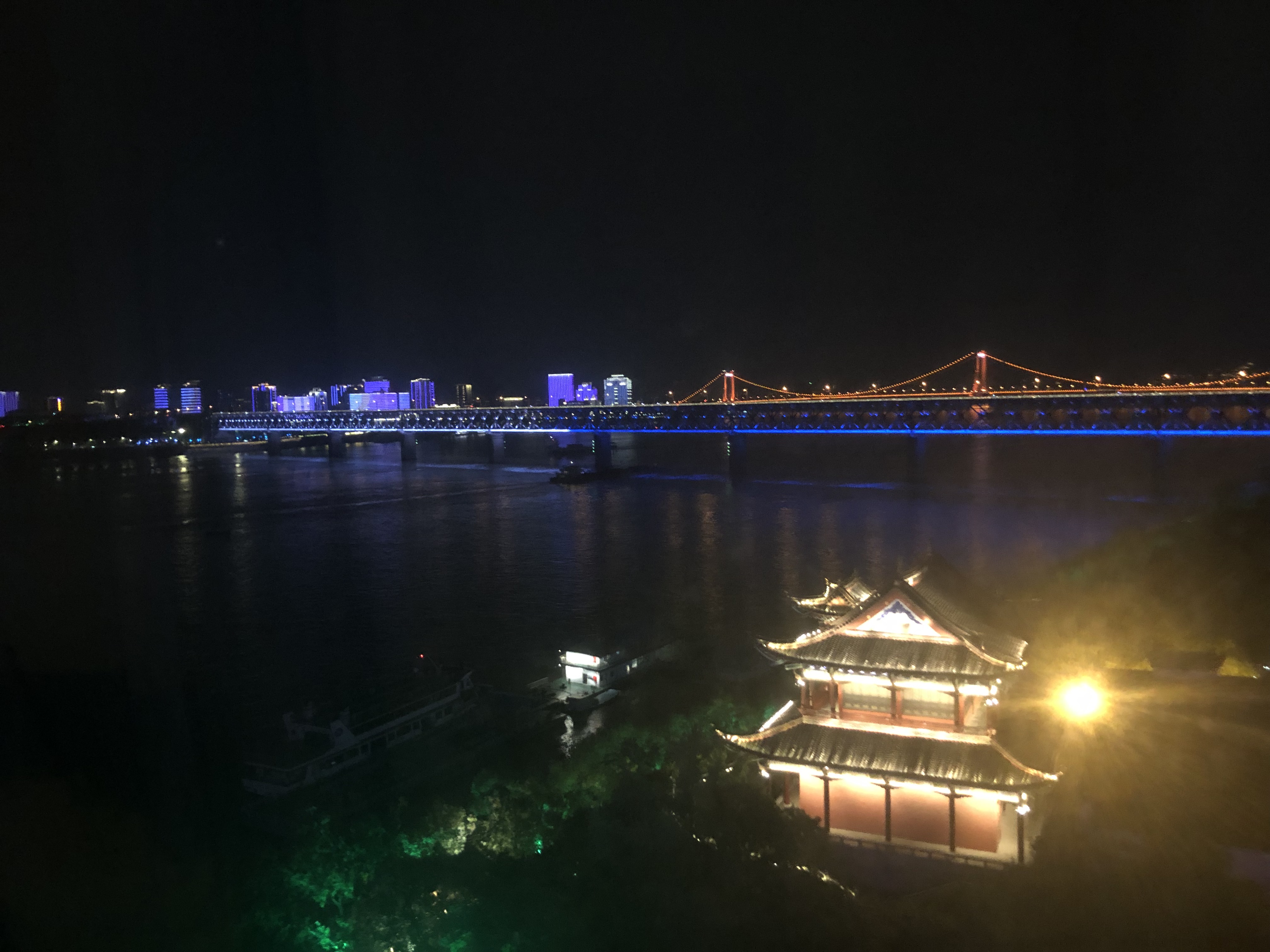 人紨վƵ