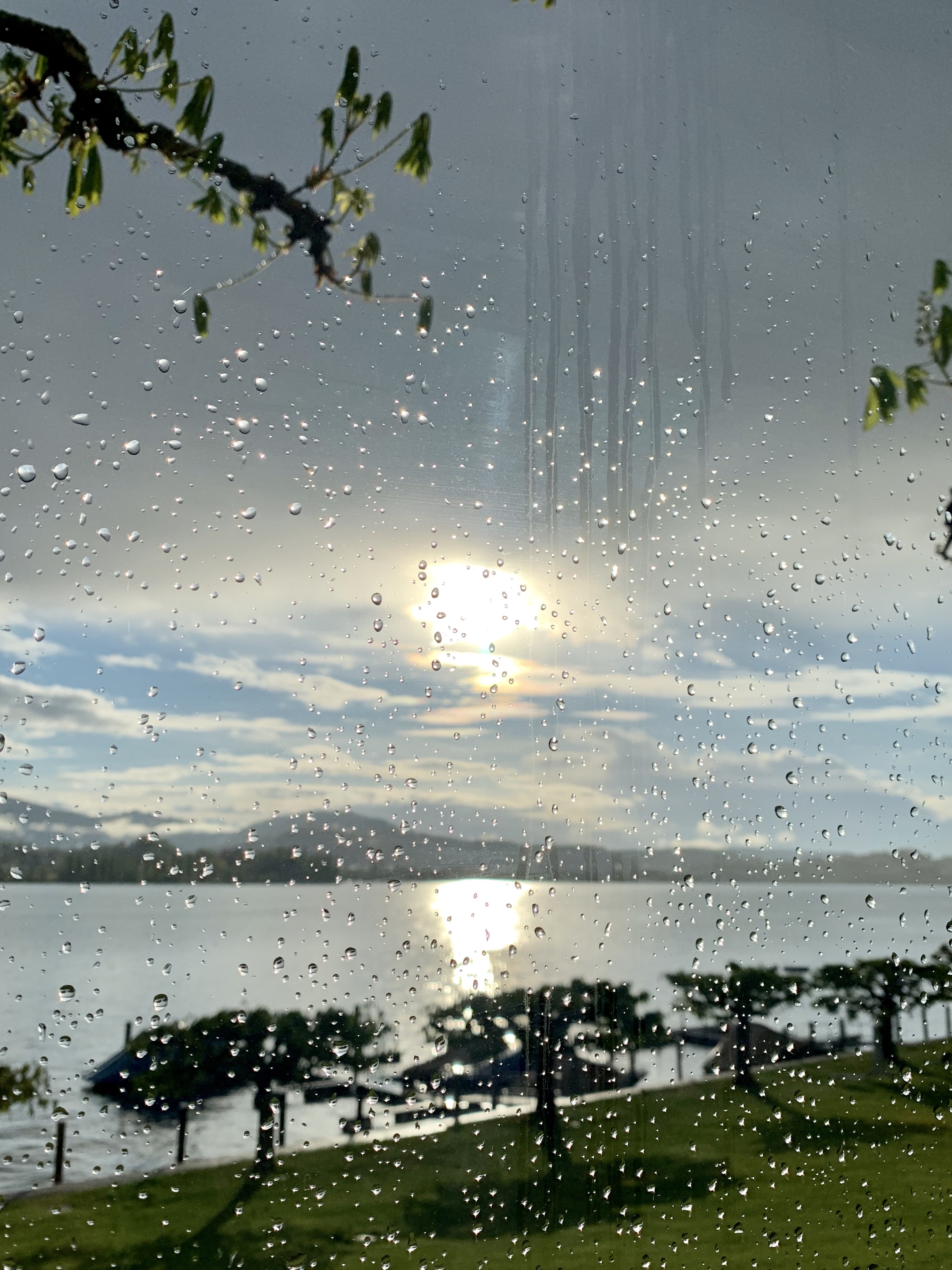 东山风雨西山晴,雨中的阳光是那么富于诗情画意