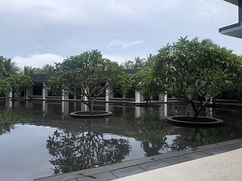 #三亚蓝湾威斯汀和海棠湾威斯汀入住感受#