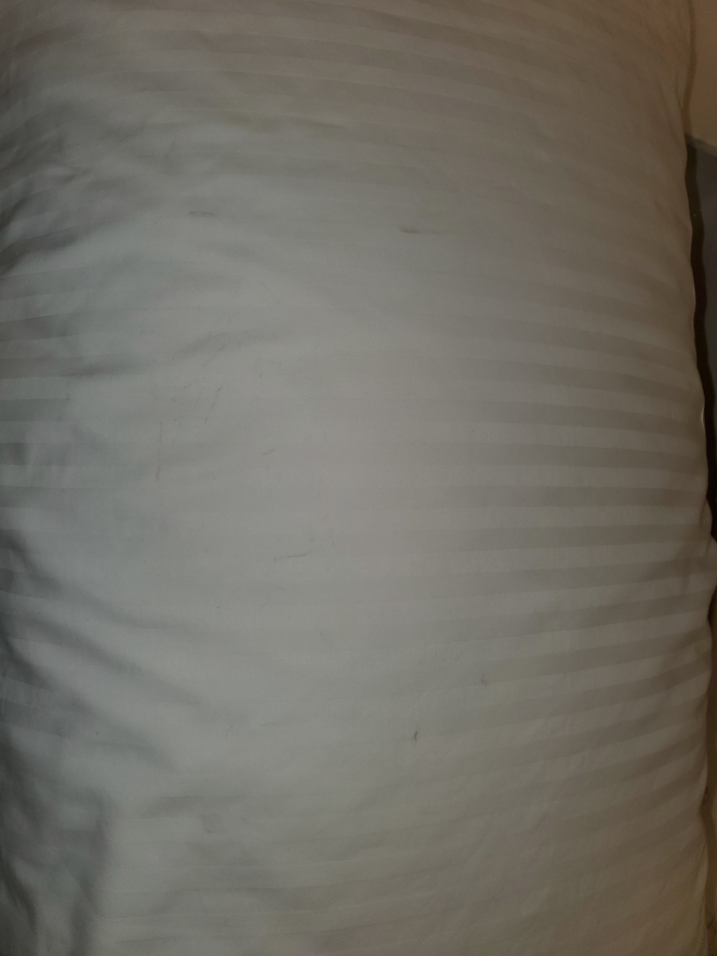 ݻƵ꣬¡˼
