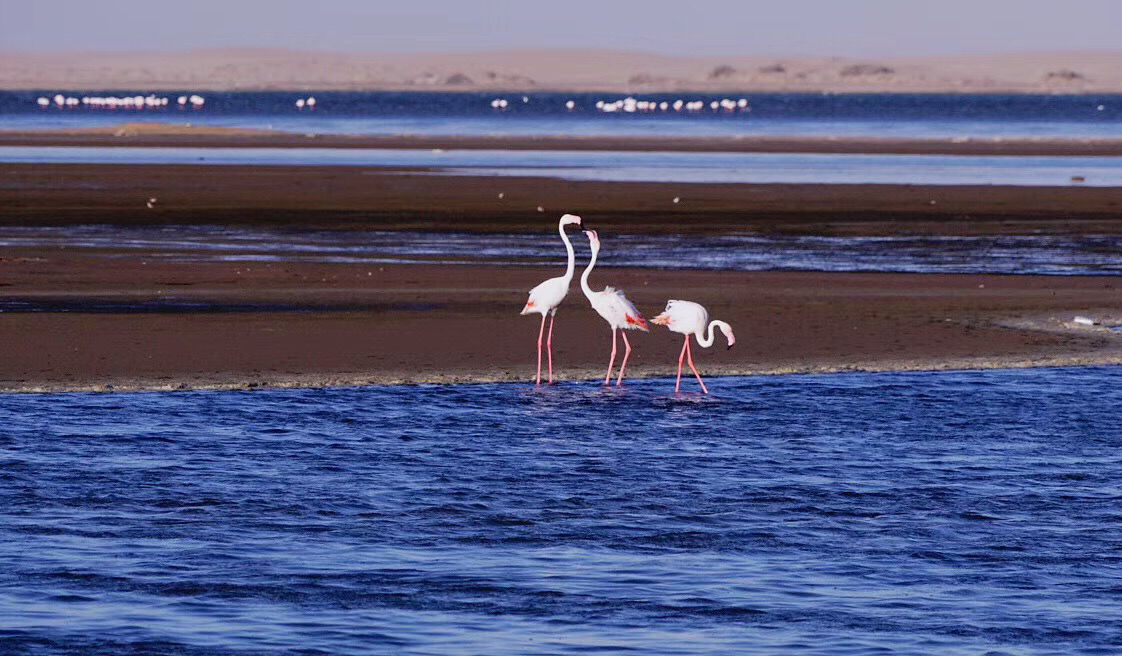 ױ ƵƪStrand Hotel Swakopmund