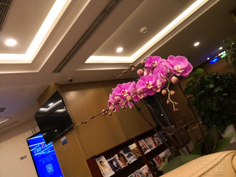 东航PEK—LHW 738两舱体验