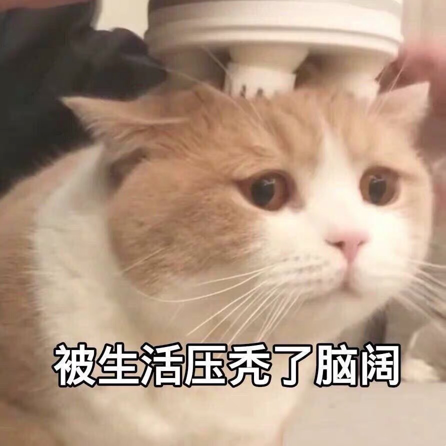 ϣٶۿһǼ£