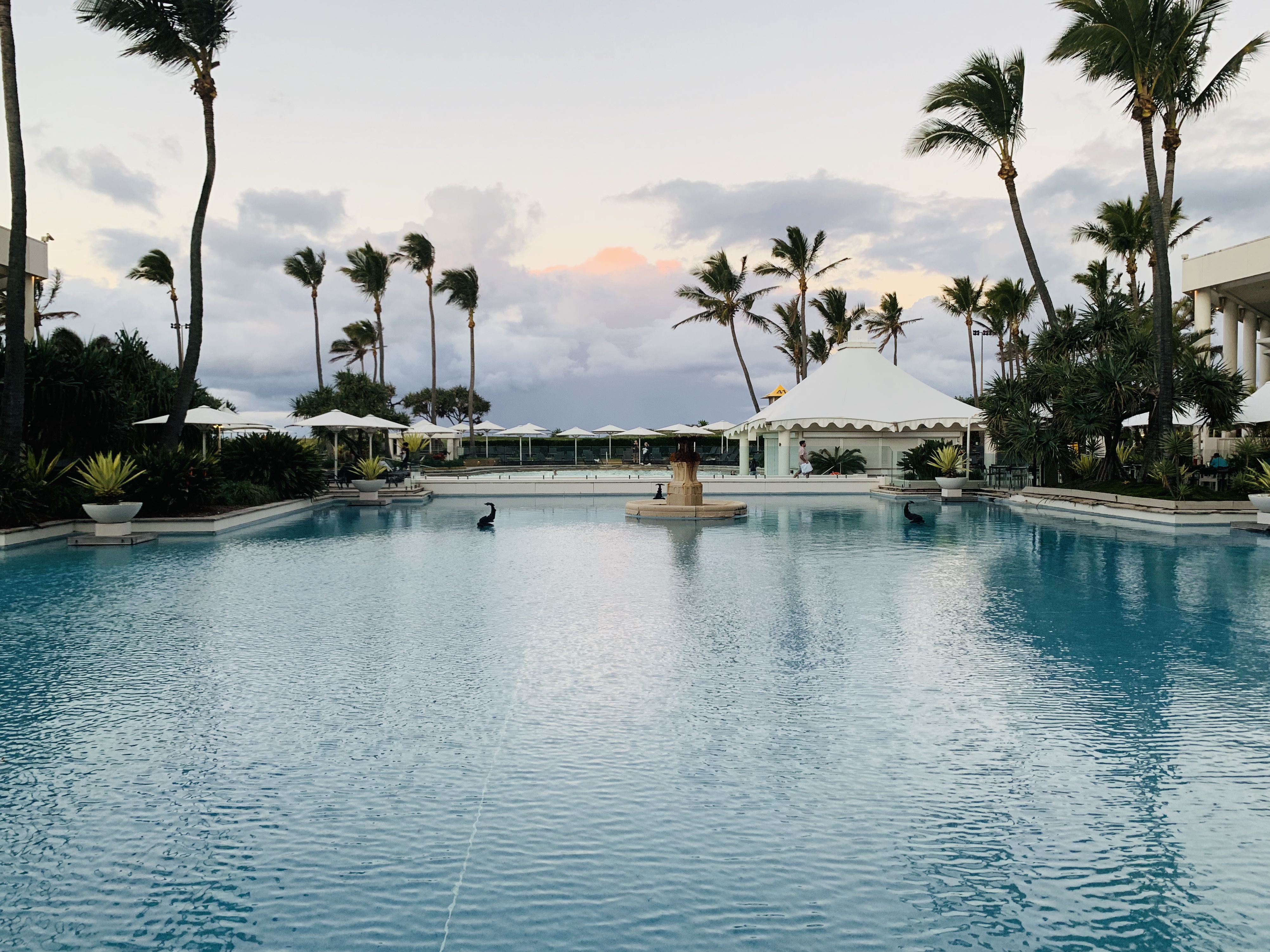 -ƽ𺣰׾ϲǶȼٴ SheratonGrand@MirageResort GoldCoast