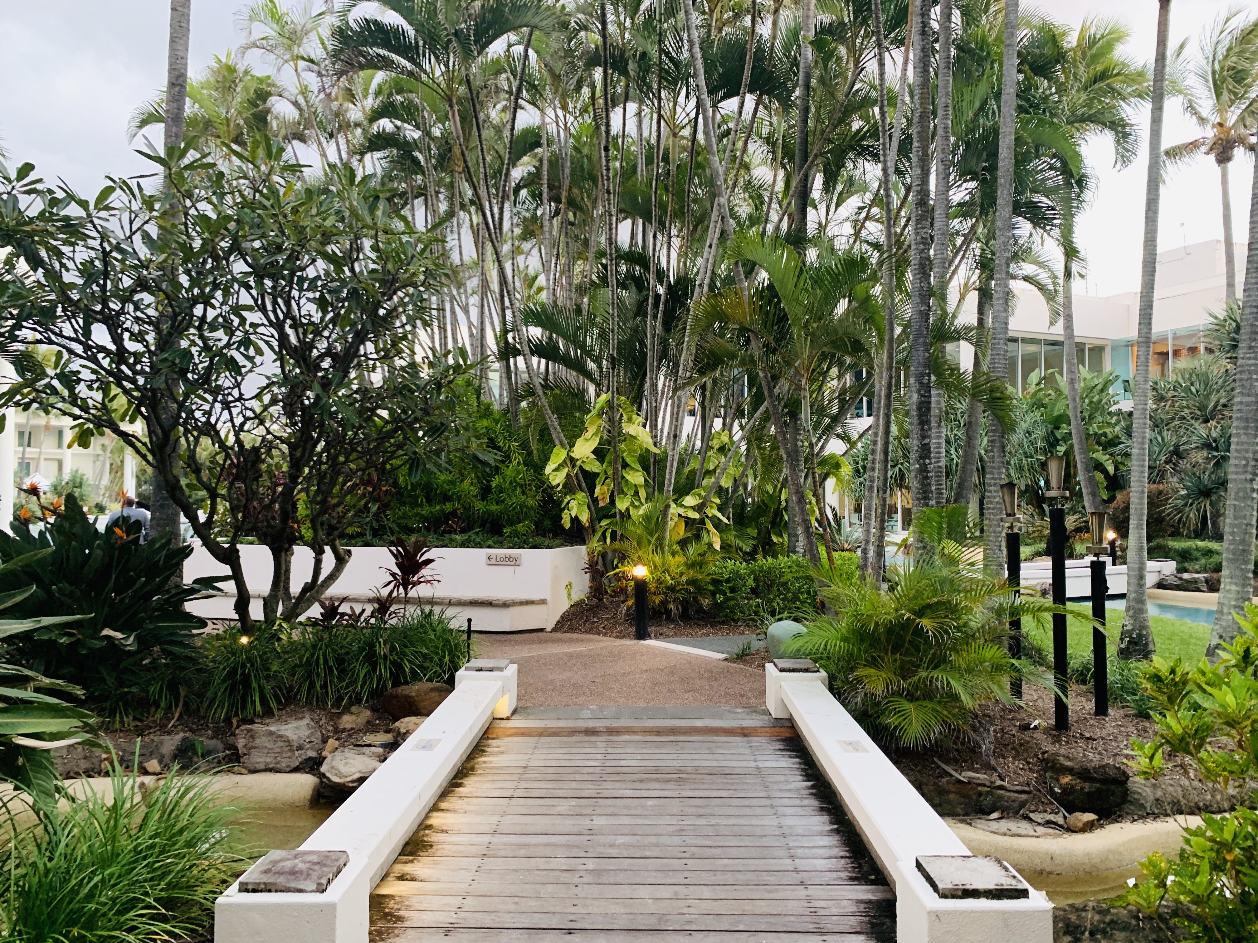 -ƽ𺣰׾ϲǶȼٴ SheratonGrand@MirageResort GoldCoast