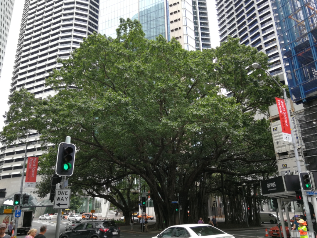 ˹ߵľưڵءFour Points by Sheraton Brisbane.