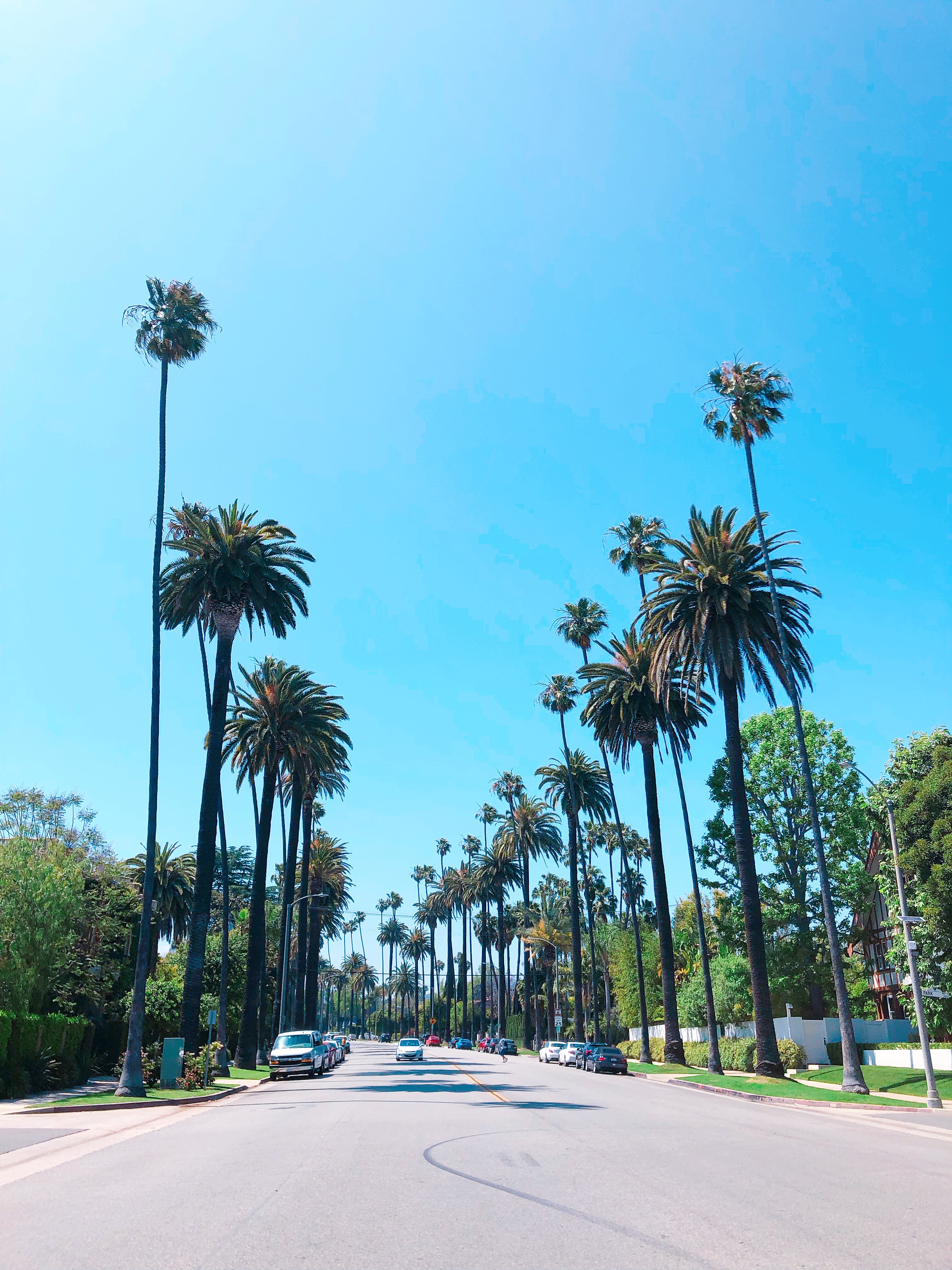 ɼȷɽ뵺Ƶ || Peninsula Beverly Hills