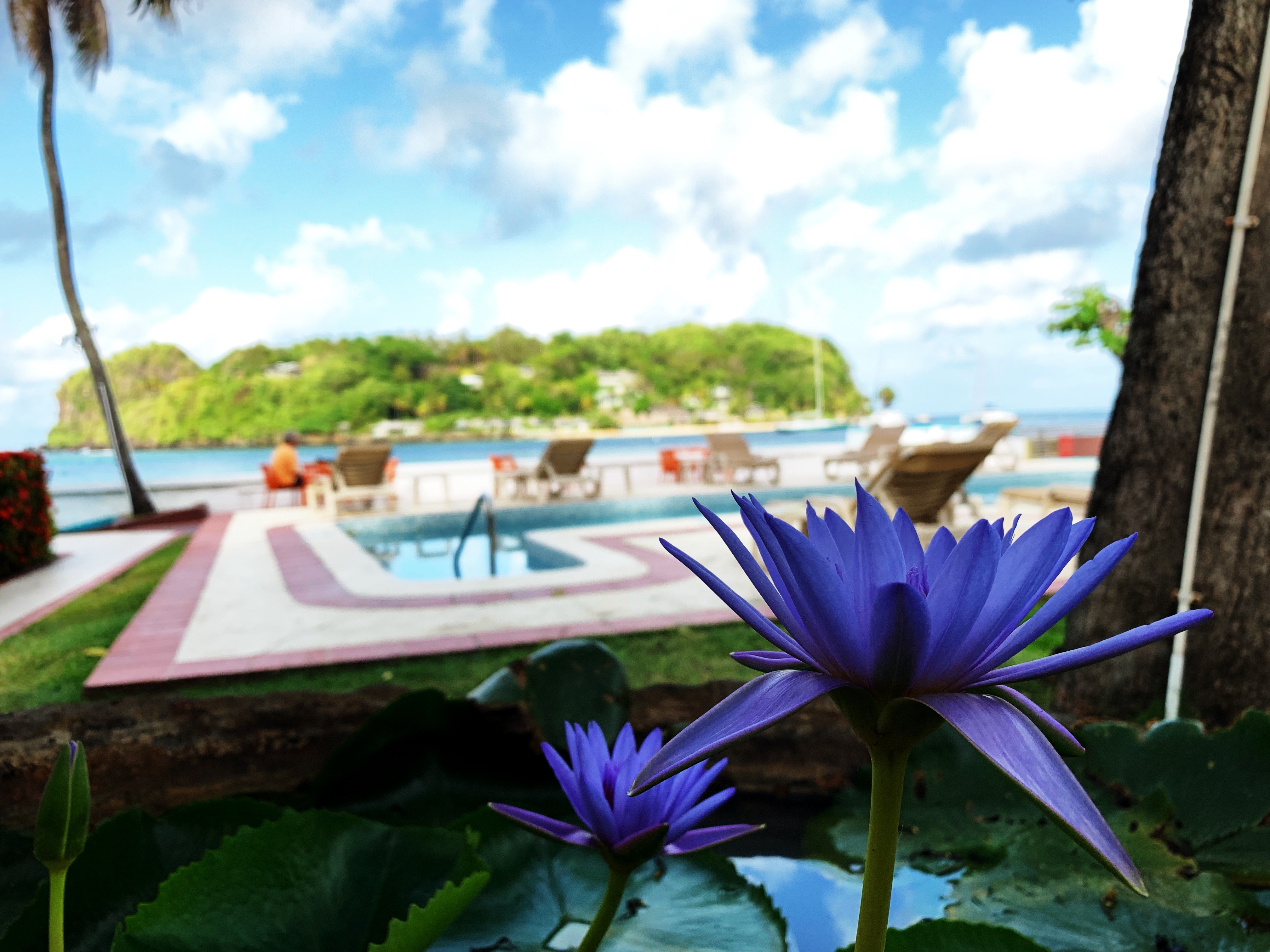 ձʥɭMariners Bay Hotel