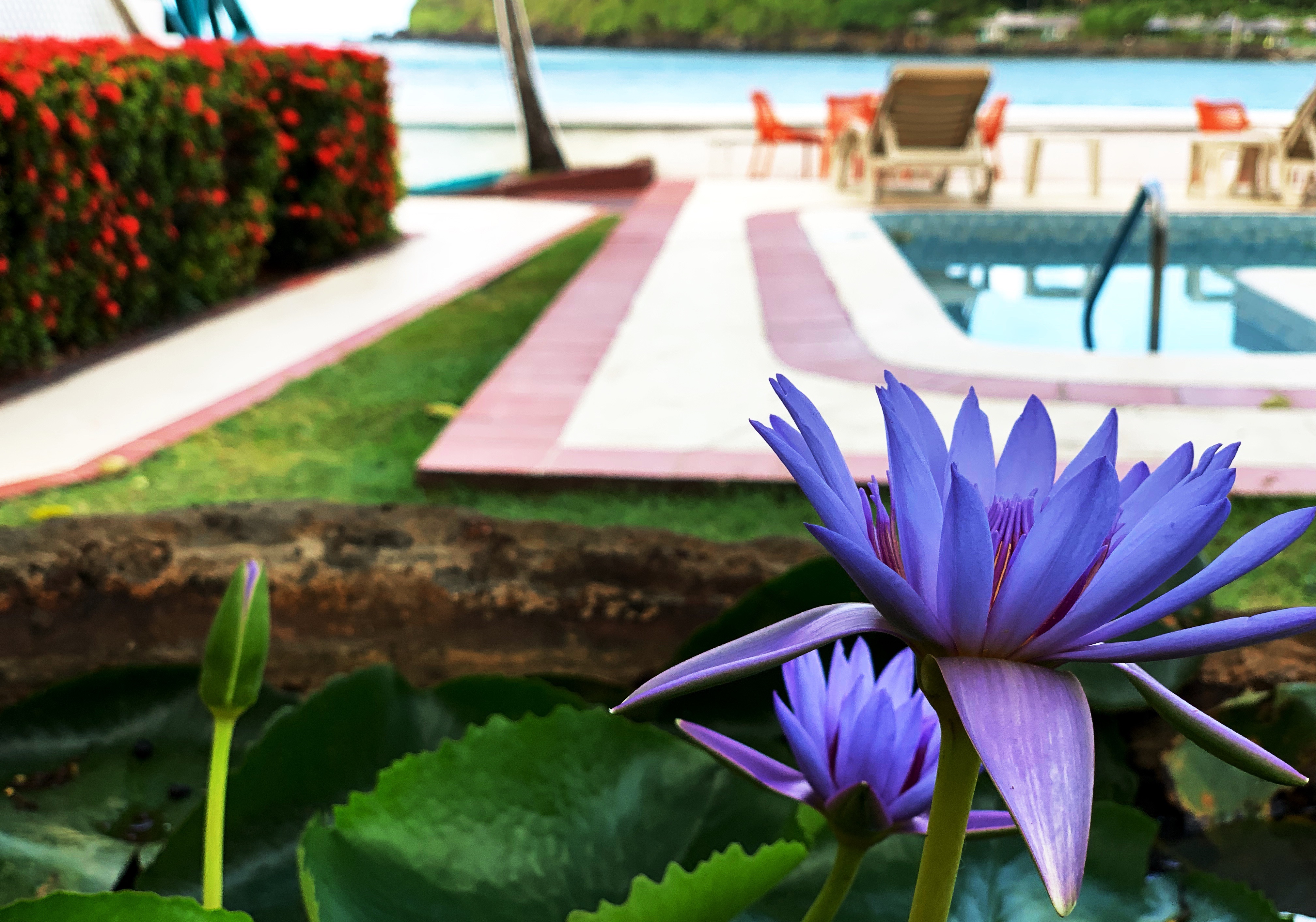 ձʥɭMariners Bay Hotel