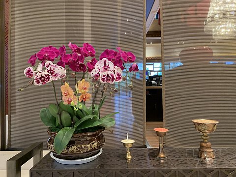 藏香十里 佛光熠熠｜拉萨香格里拉大酒店