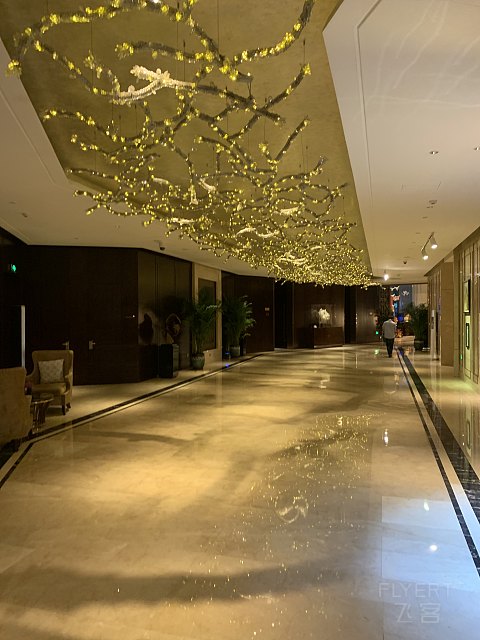 端午福州带娃自驾行-福州世茂洲际酒店