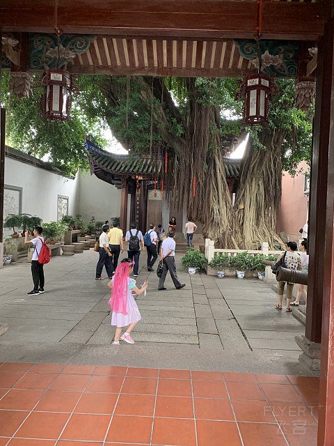 端午福州带娃自驾行-福州世茂洲际酒店