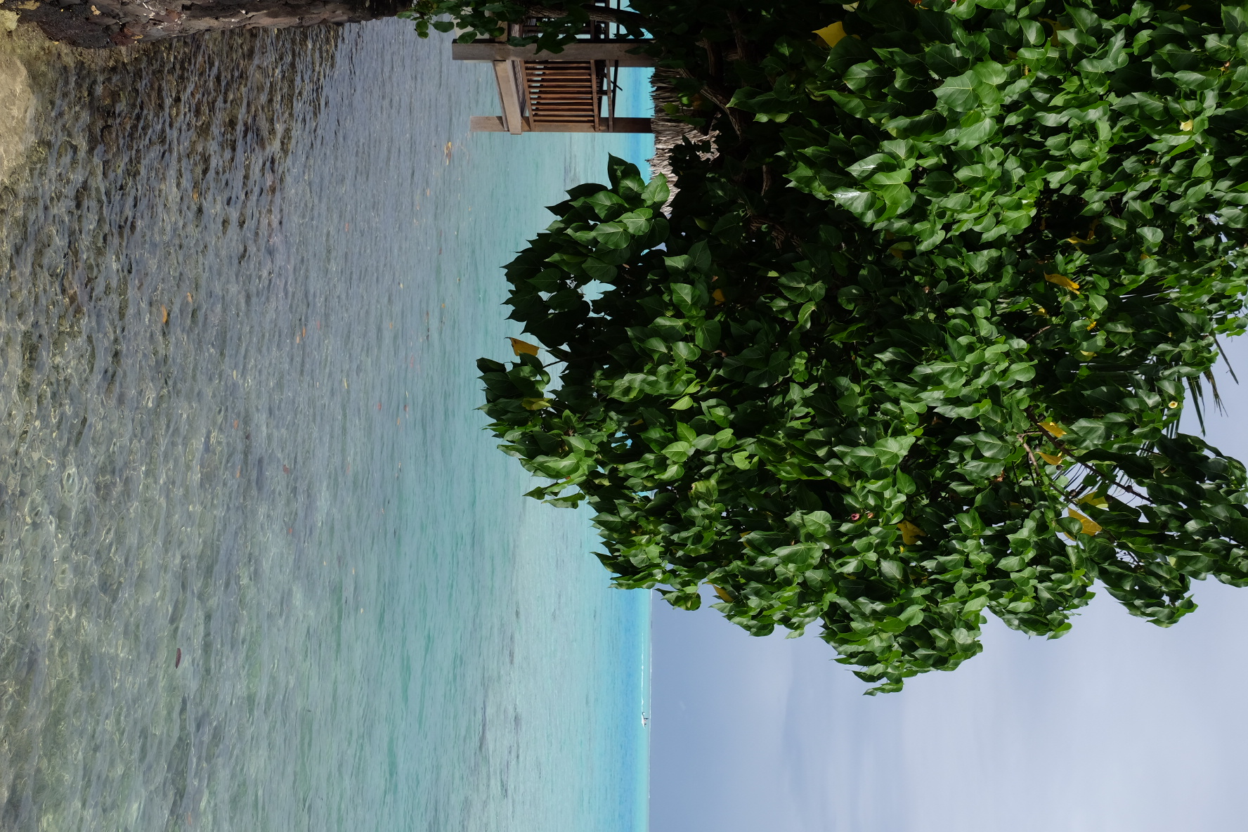˽Bora Bora Sofitel Private Island
