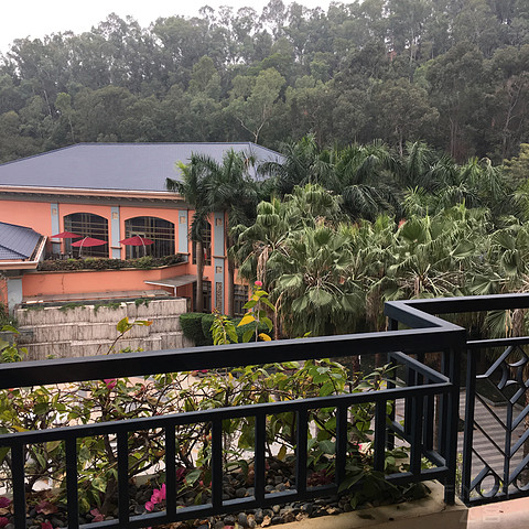 【长期深度体验贴】东莞旗峰山铂尔曼酒店-20190615