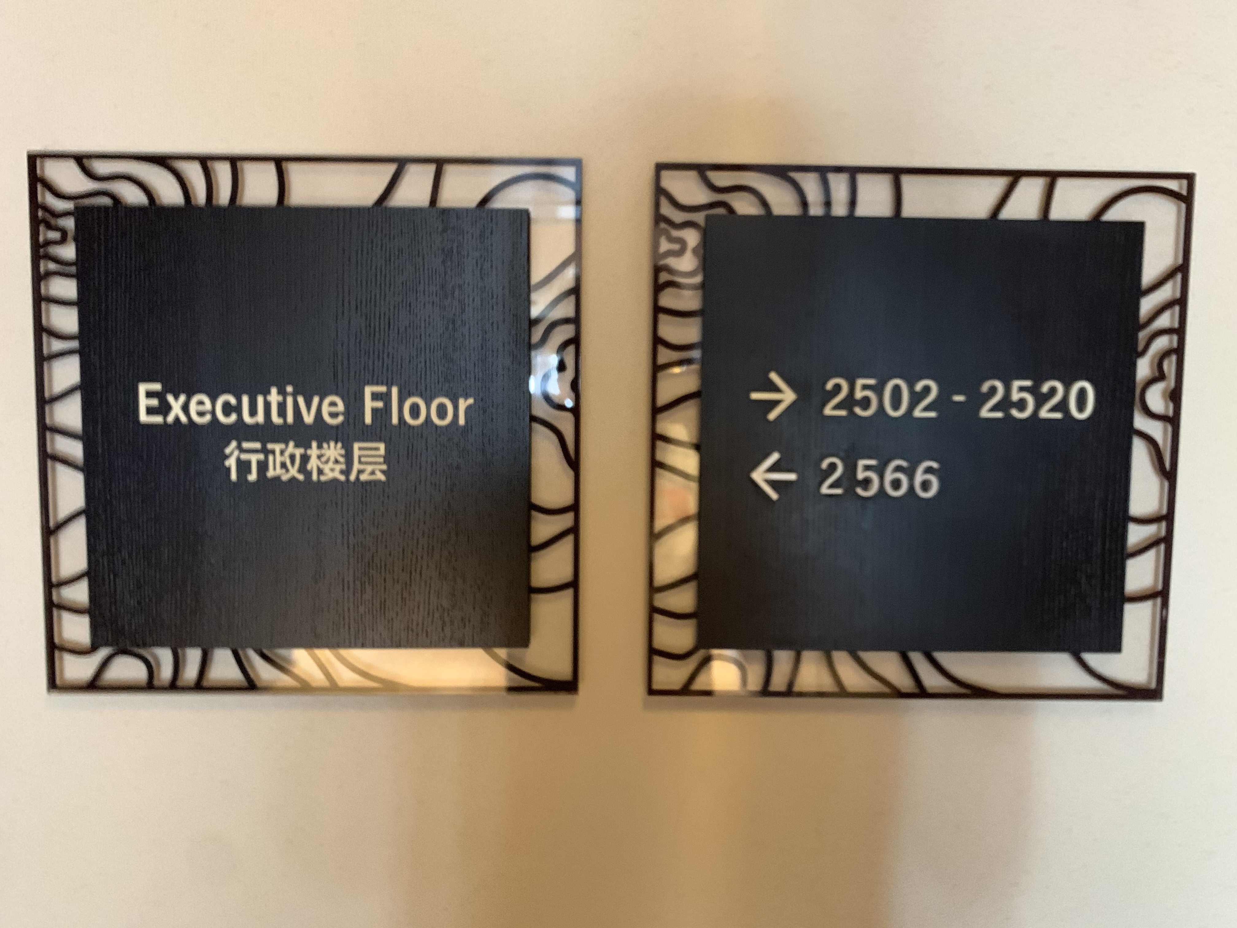 ʧൺ¡͸ϲ˫