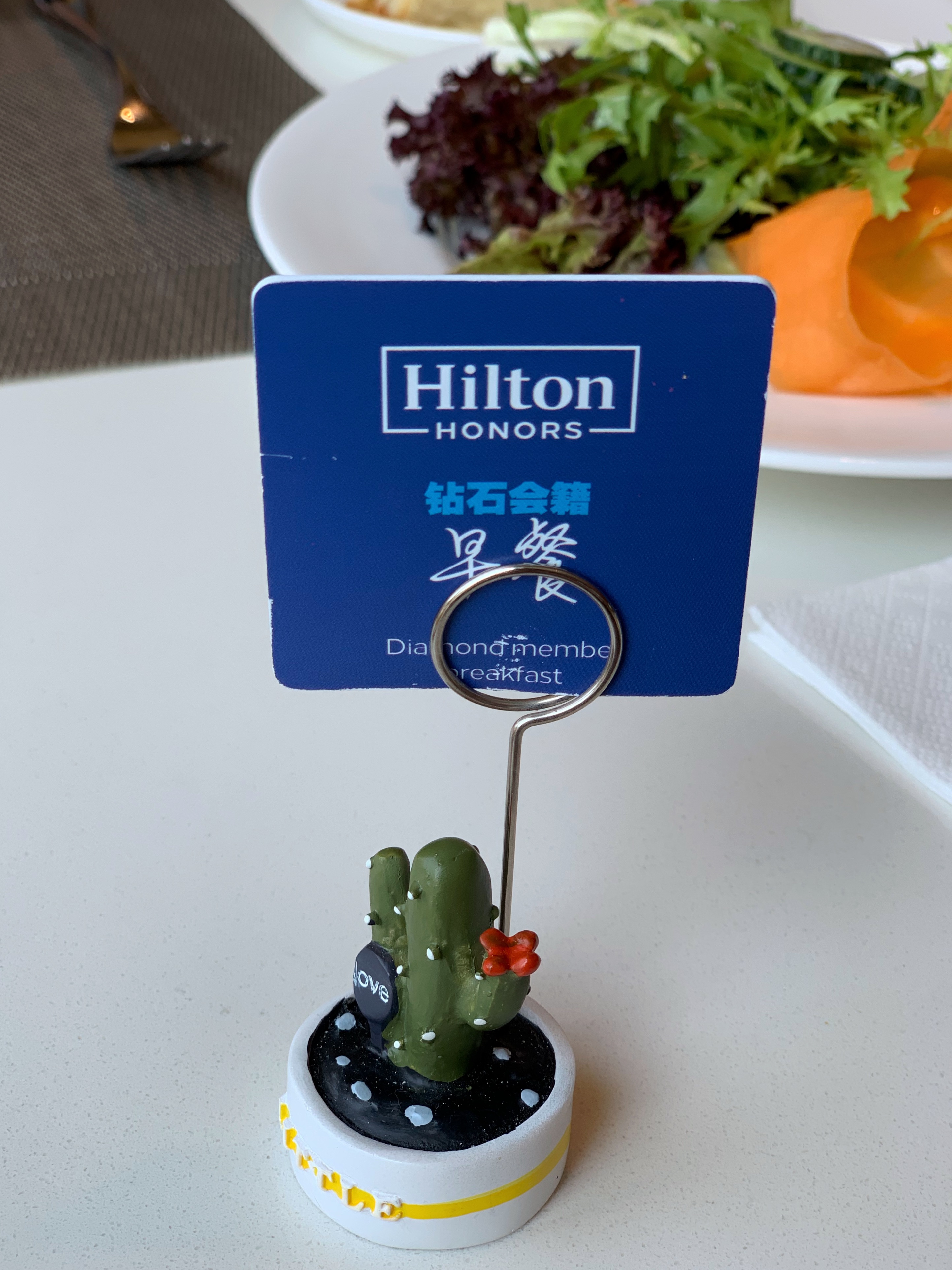 Լ۱ȸߵϺºϣٻ԰Ƶ꣺߼ͷ  ׷